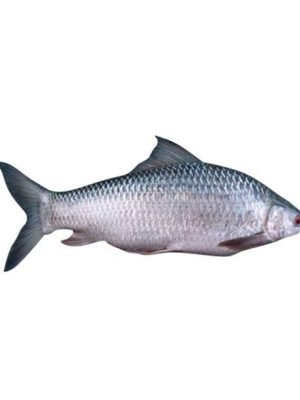MRIGEL (Gutted) 3kg+