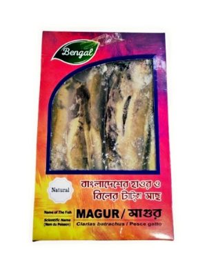 Magur (CLN)